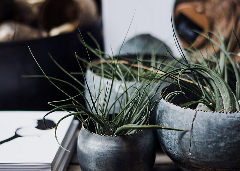 More Than a Logo: What Brand Strategy Really Means (And Why It Matters)