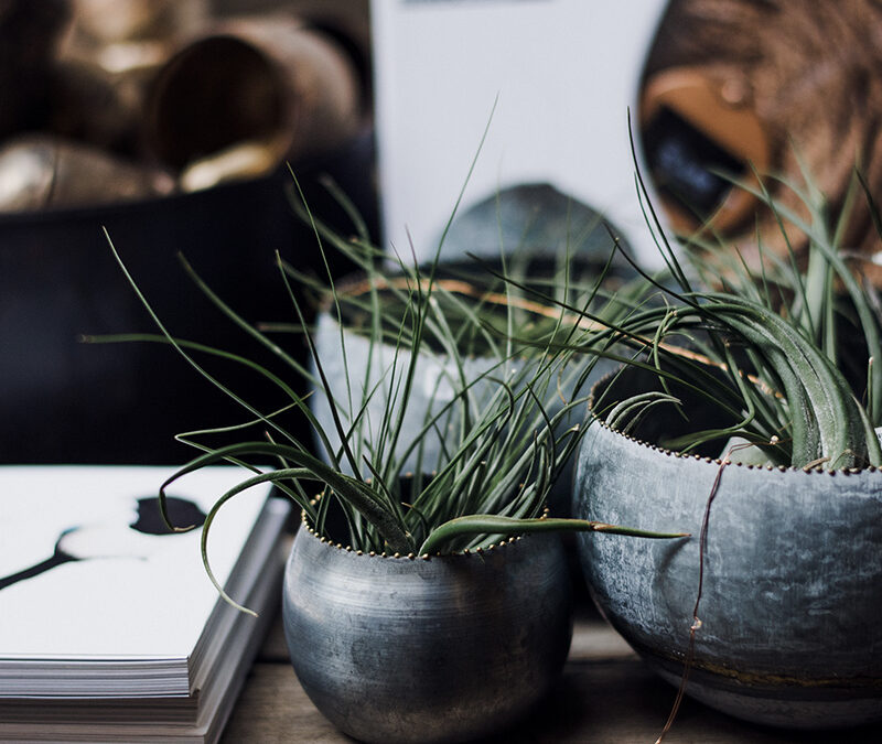 More Than a Logo: What Brand Strategy Really Means (And Why It Matters)