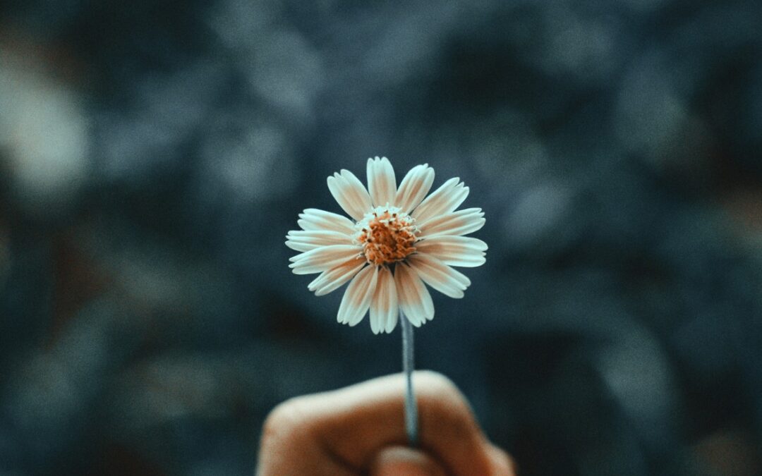 Growing Strong Marketing: Internal Teams, External Partners