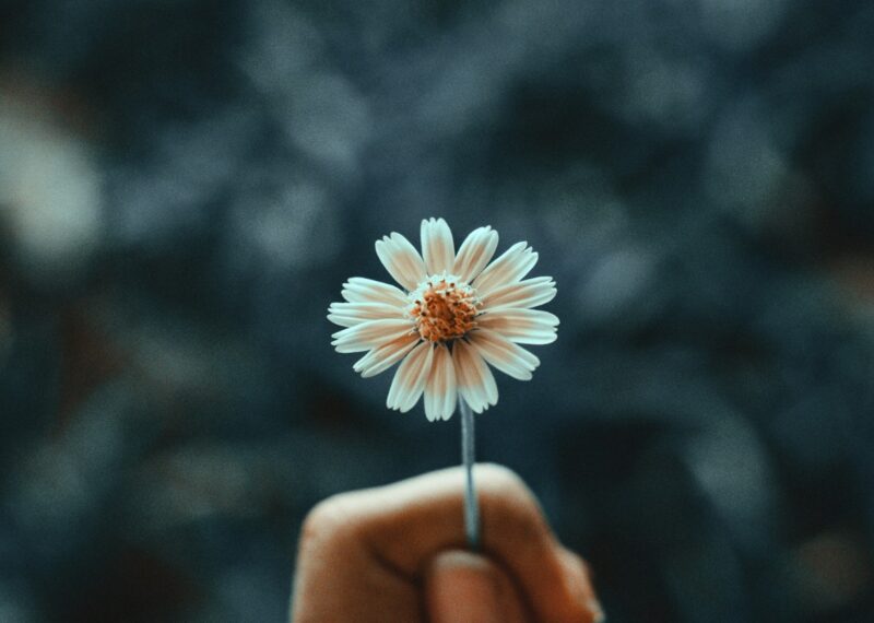 Growing Strong Marketing: Internal Teams, External Partners